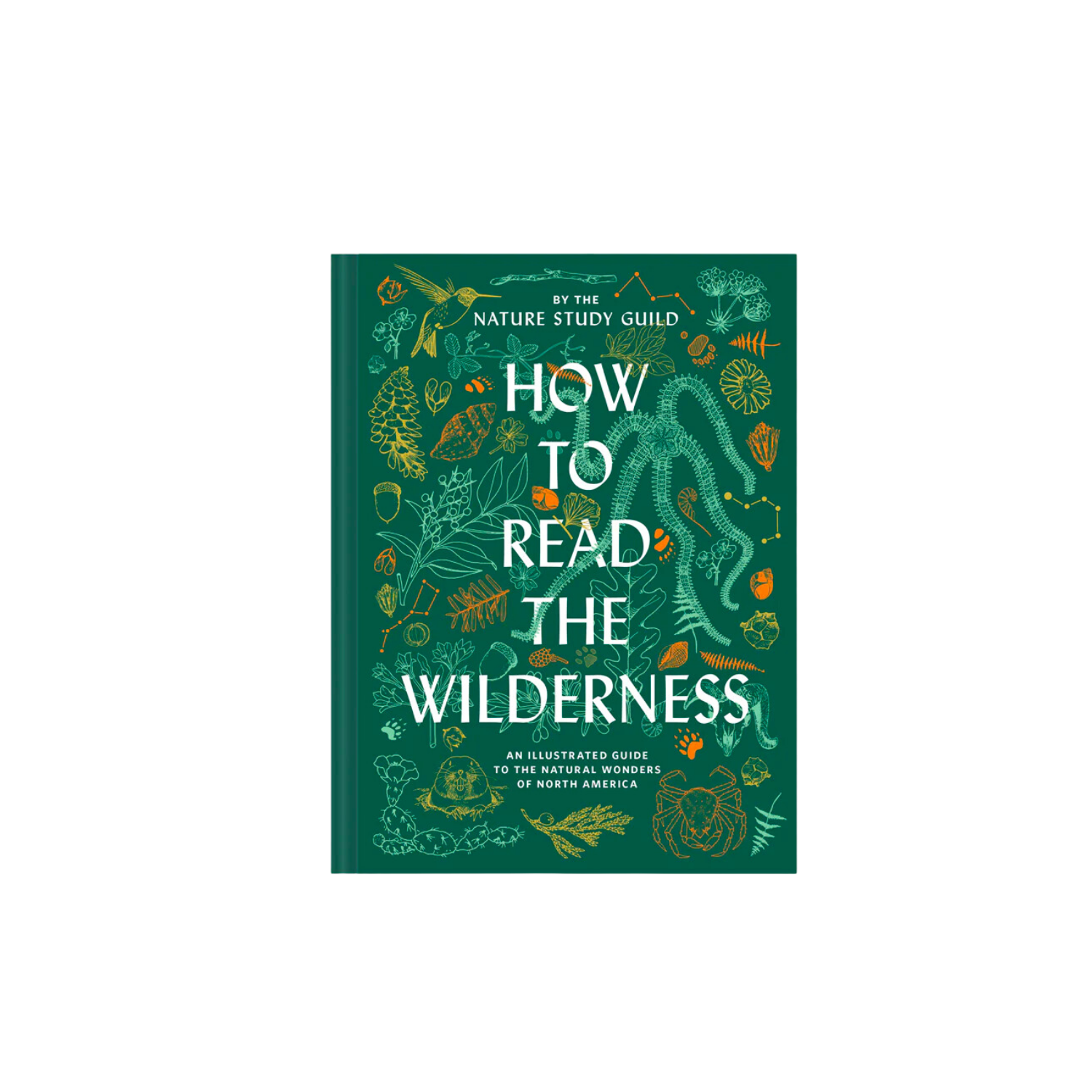 How to Read the Wilderness - Nature Study Guild